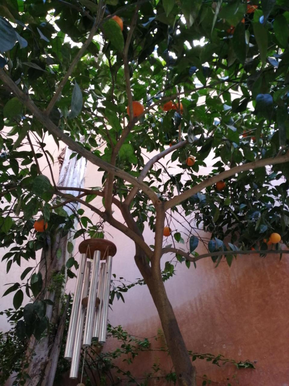 Les Bains De Fez Tara Bed & Breakfast Exterior photo
